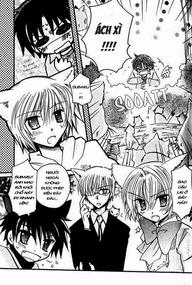 boku x neko? chapter 3.2 6