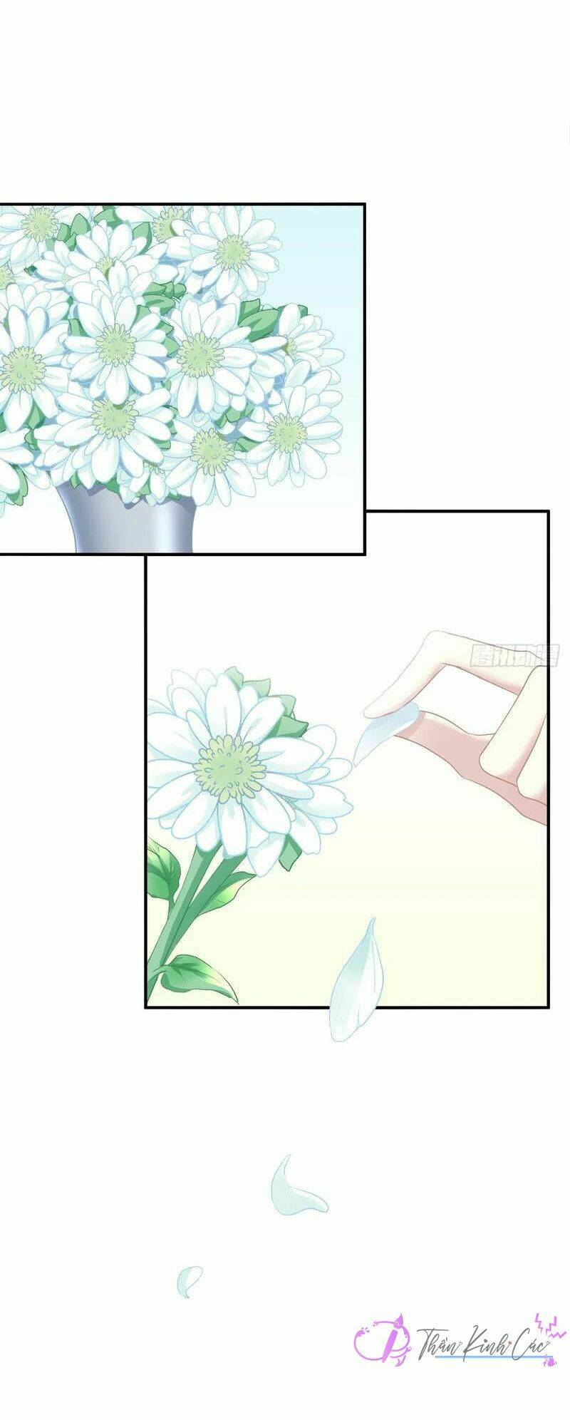 toàn bộ nắm trong tay chapter 46 28