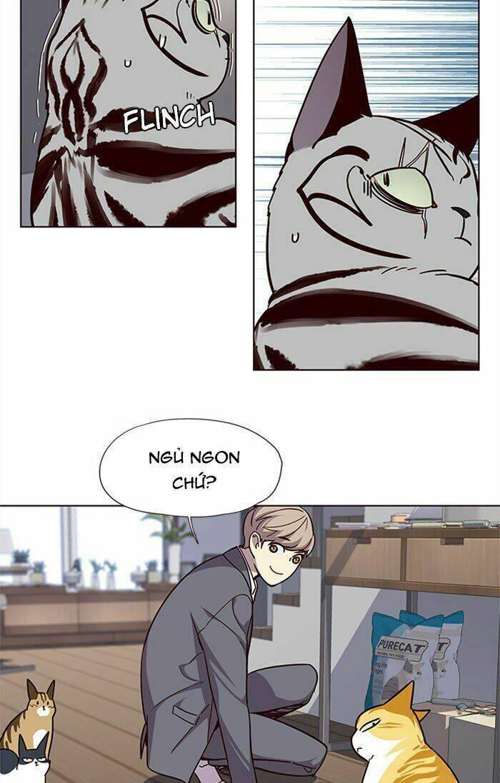 biến thân thành mèo chapter 37 35