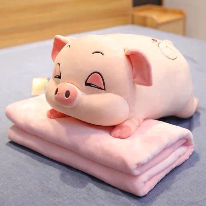 BỘ CHĂN GỐI HÌNH THÚ VĂN PHÒNG 3in1
