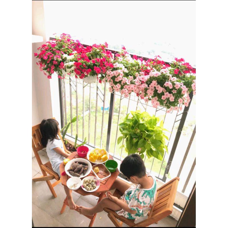Ghế gỗ mini xếp gọn ngồi cao 35cm