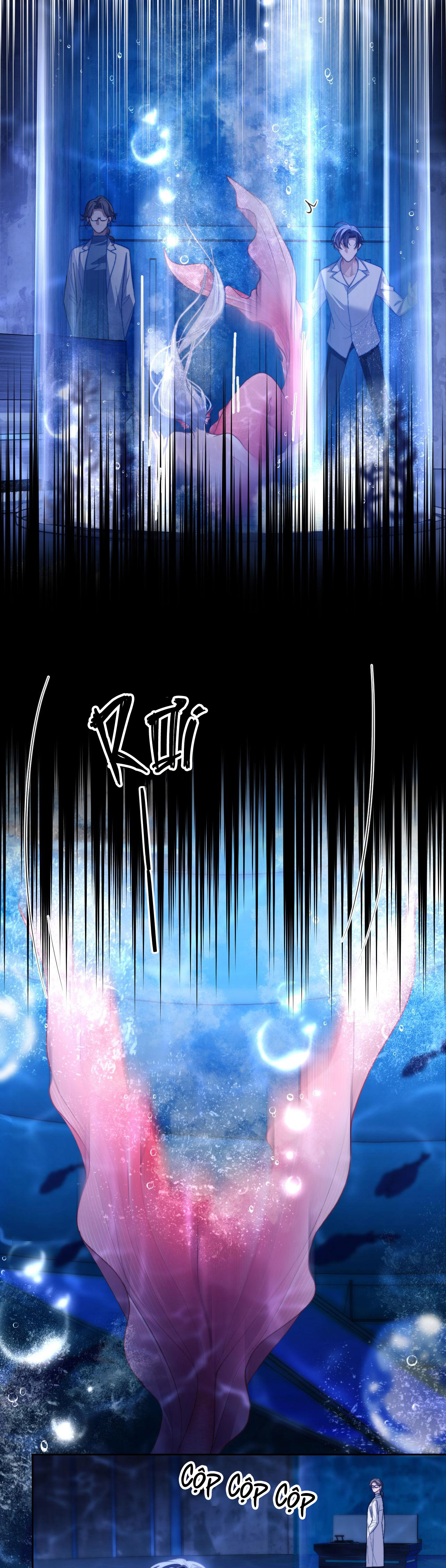 nhân ngư dessaro chapter 12 11