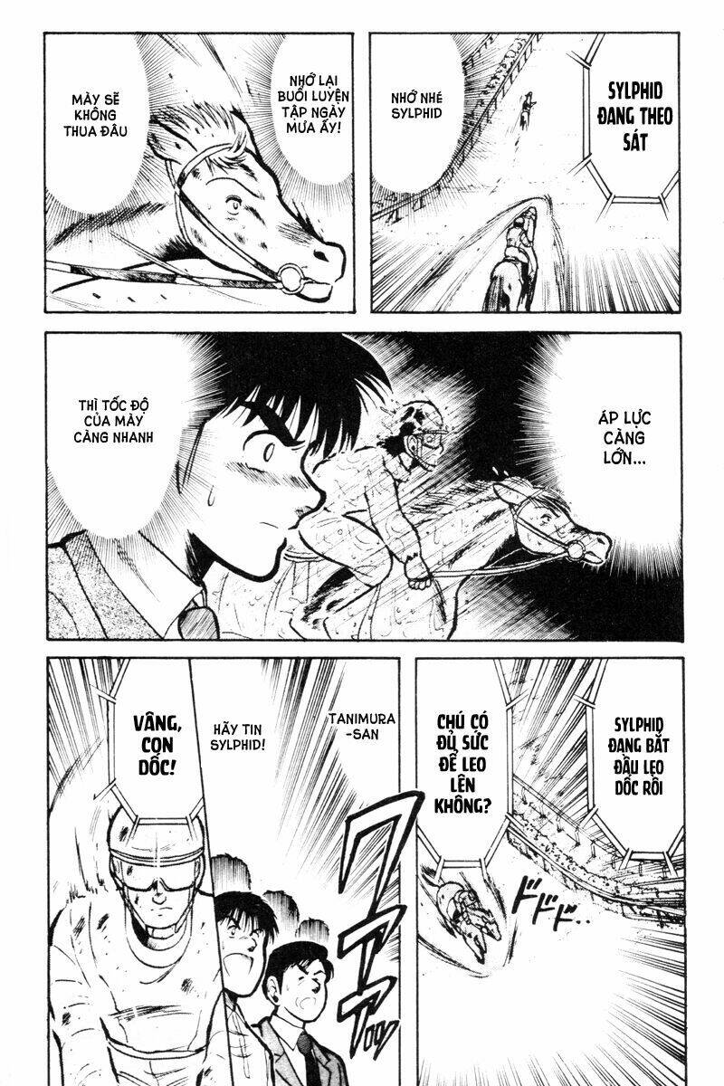 kaze no sylphid - phong mã silphid chapter 15 5