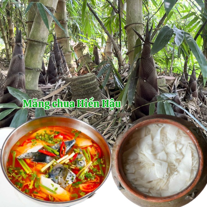 Măng chua nấu lẩu hải sản thơm ngon, Măng chua Hiền Hậu đặc sản Vĩnh Phúc 1kg