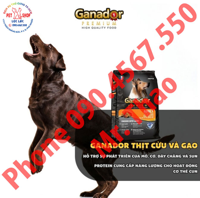 Combo 50 gói thức ăn cho chó trưởng thành Ganador vị thịt cừu &amp; gạo Lamb &amp; Rice 400gram