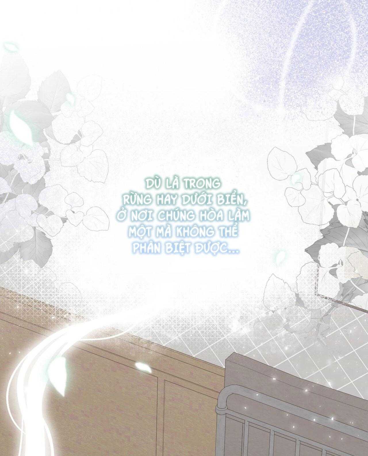 rừng biển [bl] chapter 60 94