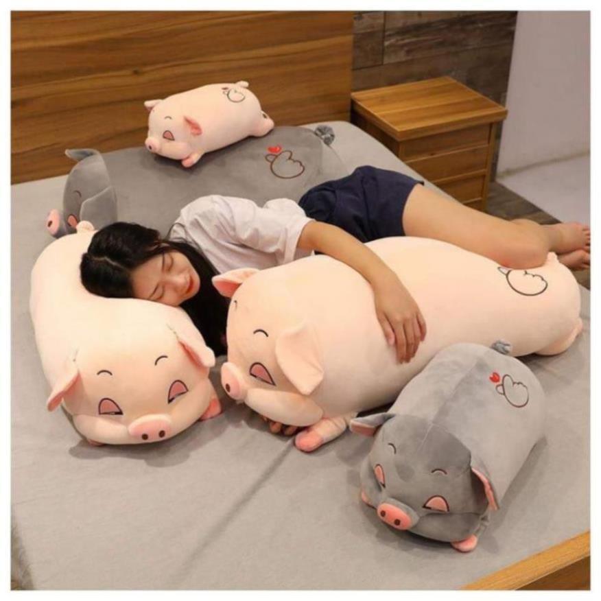 Gấu Bông Ôm Hình Heo Lười Mắt Híp Siêu Xinh Cho Bé 2 Màu
