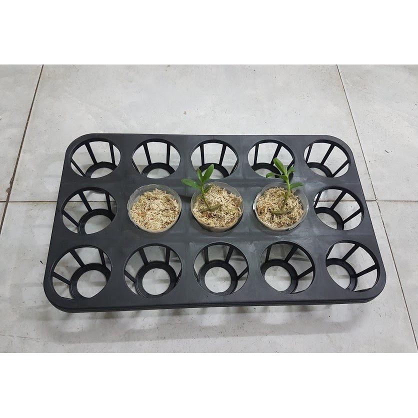 5 KHAY NHỰA TRỒNG LAN 12 LỖ - GIÁ SIÊU HỜI