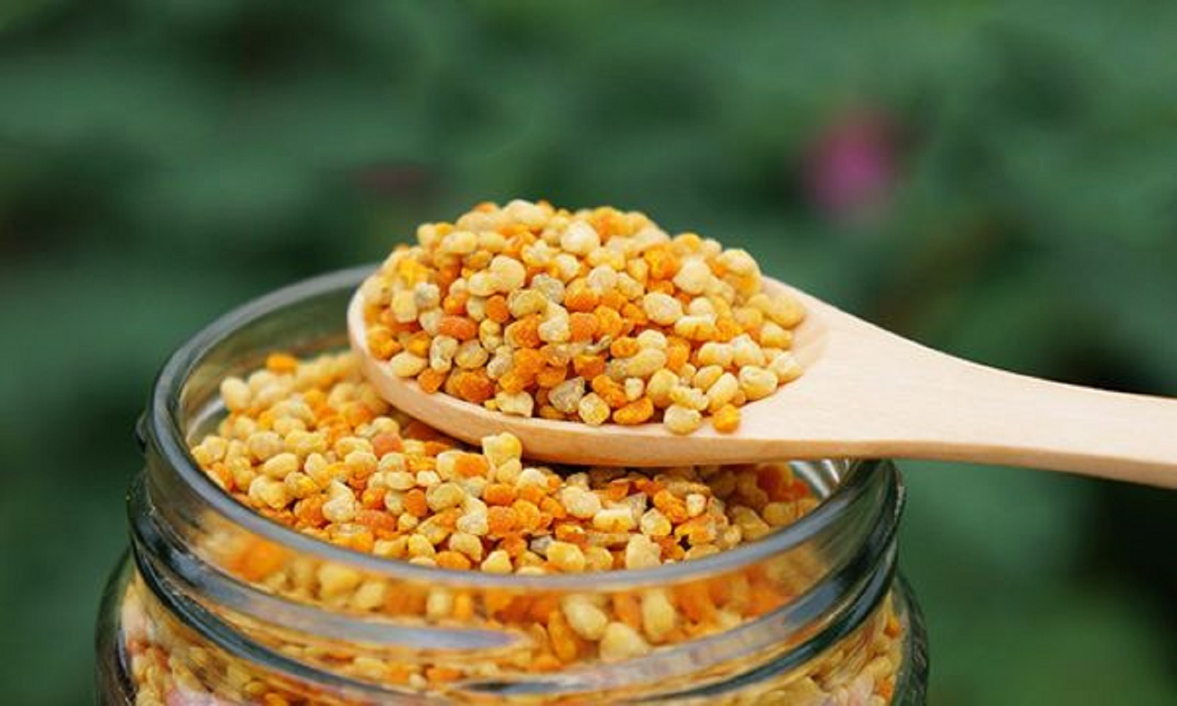 Phấn Hoa Mật Ong Nguyên Chất VG Honey - Tăng cường cải thiện sức đề kháng, bổ sung chất dinh dưỡng chống ung thư, cải thiện chức năng gan
