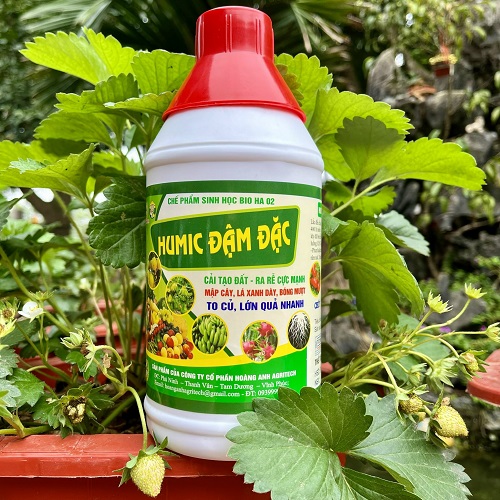 Chế phẩm sinh học BIO HA 02 - Humic Đậm Đặc Cải tạo đất, Ra rễ cực mạnh