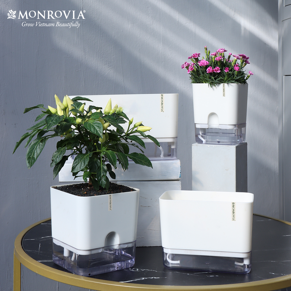 Chậu trồng cây tự tưới để bàn Monrovia, thiết kế thông minh, decor văn phòng, trong nhà, sang trọng, Tiêu chuẩn Châu Âu