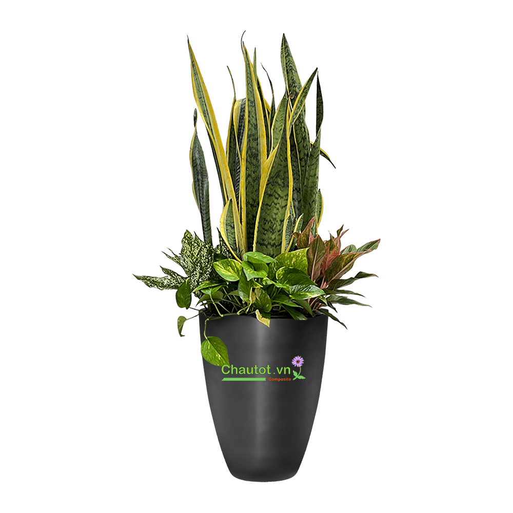 Chậu Composite tròn 36x36x56cm|MÀU ĐEN|CT2024-BAOBINH