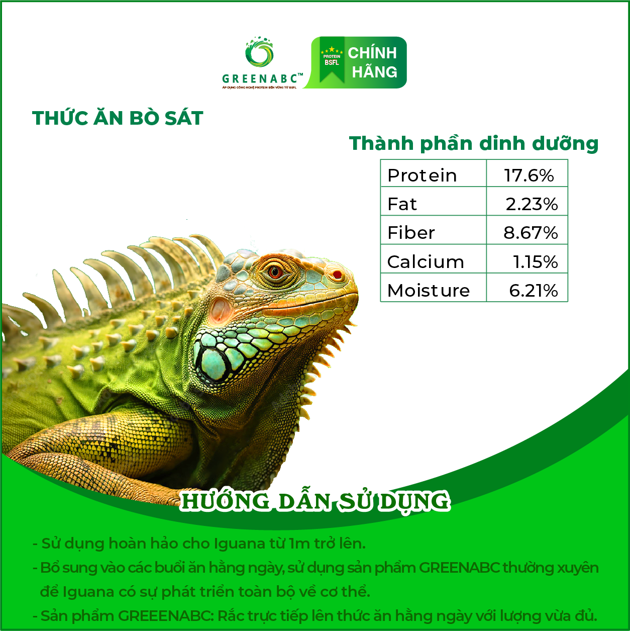 IGUANA TRƯỞNG THÀNH - Thức ăn BÒ SÁT cho Rồng Nam Mỹ trưởng thành từ 1m trở lên TĂNG SIZE, TĂNG MÀU, GAI BUNG, DÁNG ĐẸP, KHỎE MẠNH