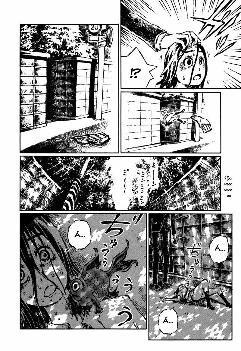 chimoguri ringo to kingyobachi otoko chapter 1 8