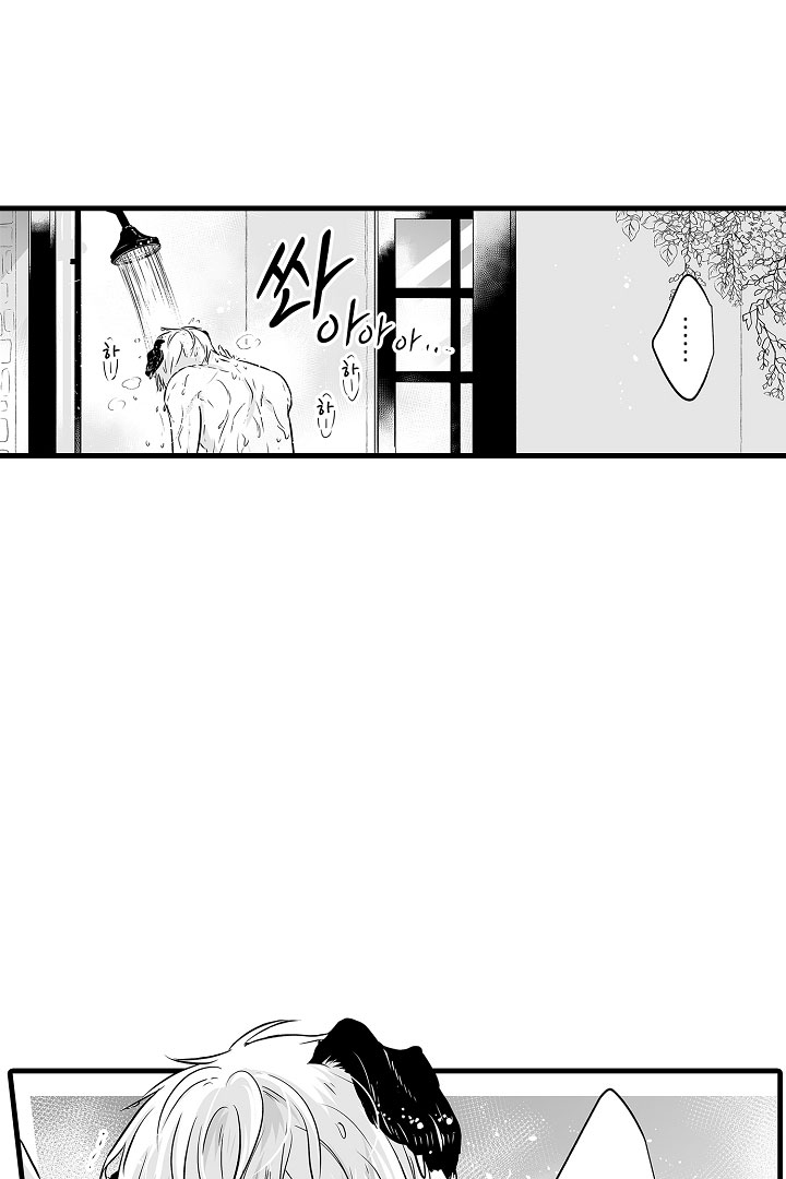 gấu ngủ đông chapter 11.2 10