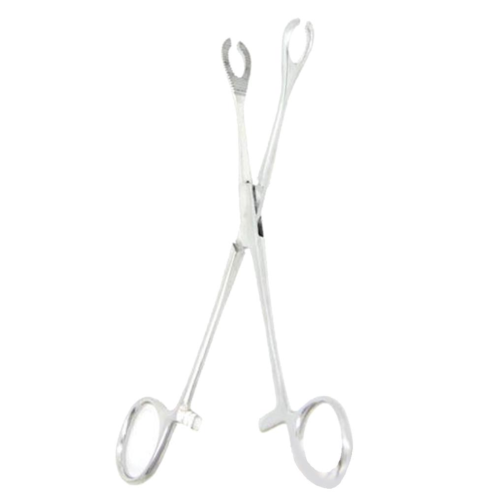 Forcep Kit 316 Stainless Steel Round Self Locking Forcep