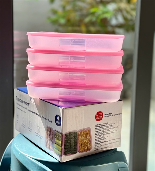 Bộ 4 Hộp Đựng Thực Phẩm Tupperware Trữ Đông Gen I Medium 650ml dẹp