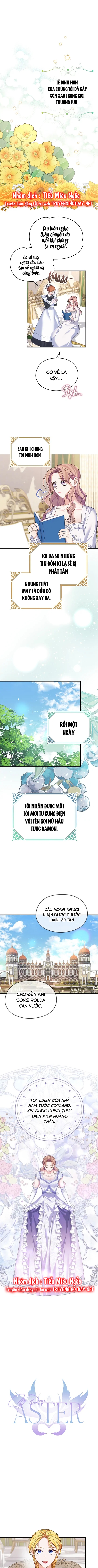 aster yêu dấu của tôi chapter 49 2