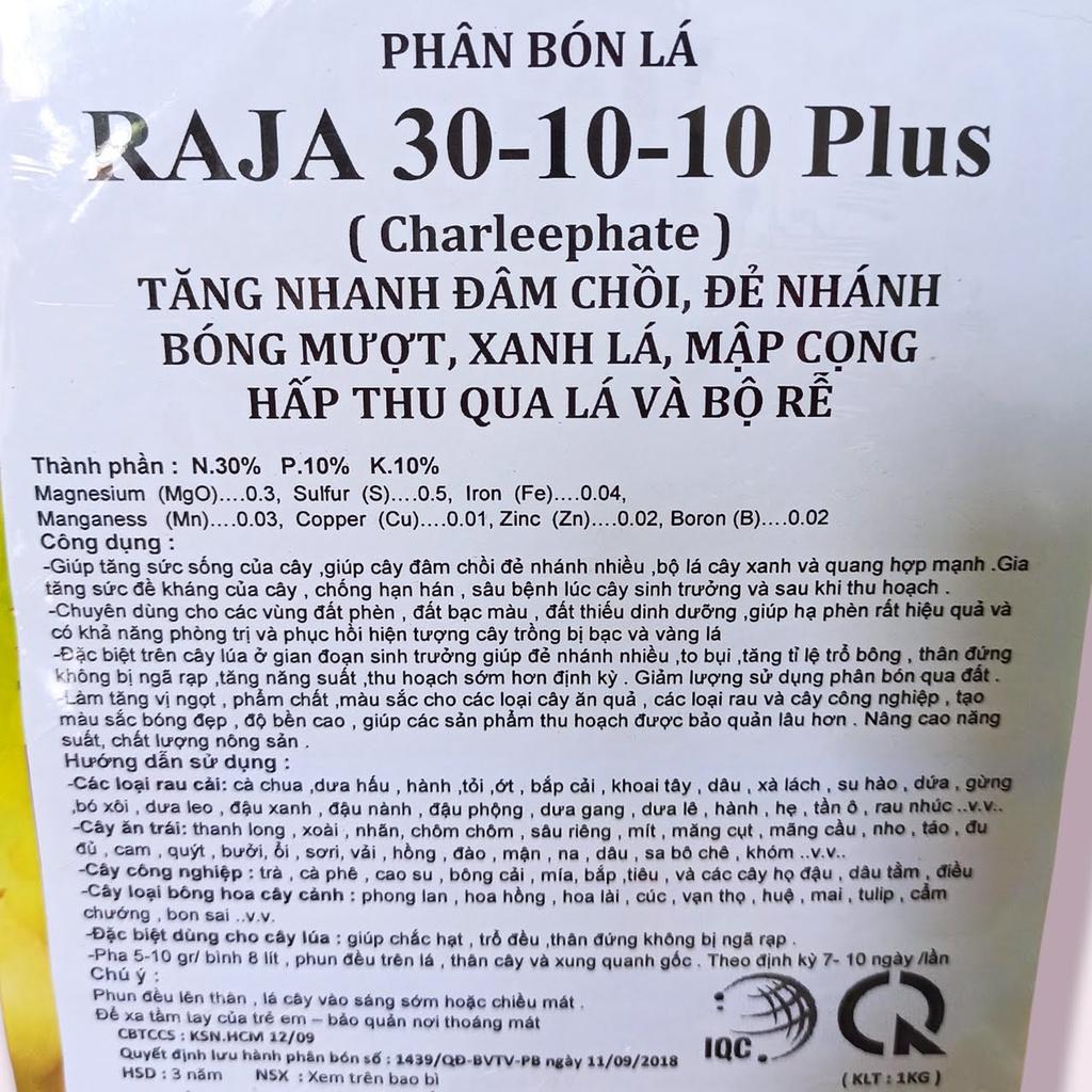 Phân bón lá cao cấp Thái Lan RAJA Npk 30-10-10 plus hộp 1kg đâm chồi, đẻ nhánh tốt