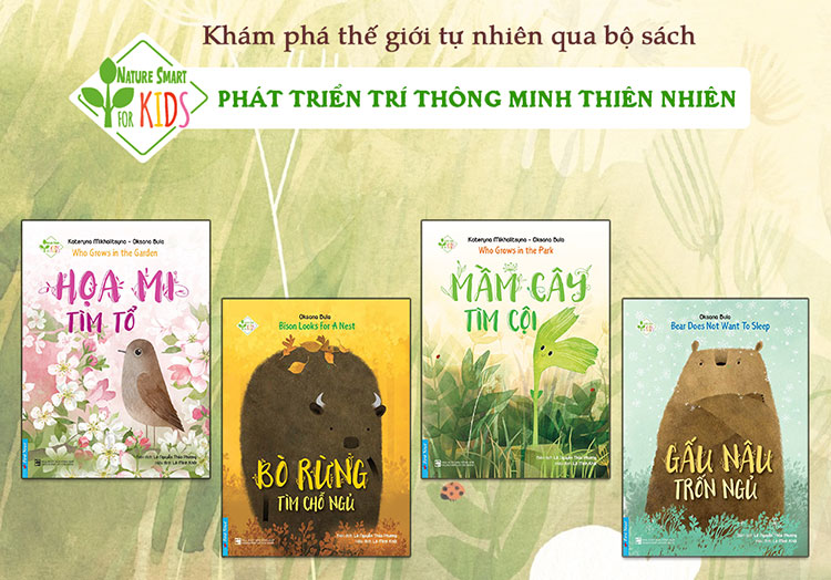 Gấu Nâu Trốn Ngủ