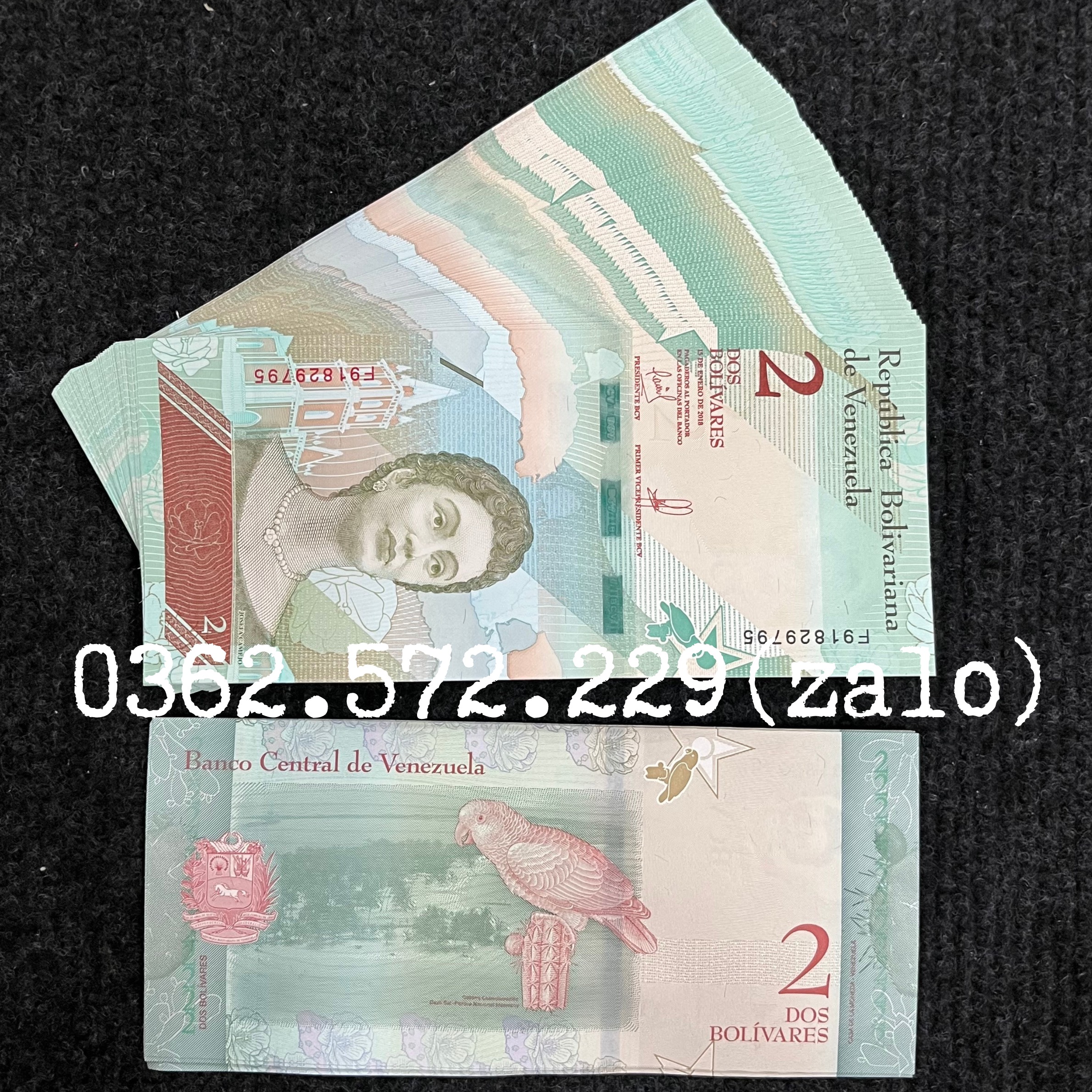 Combo 10 Tờ  Tiền 2 Bolivares của Venezuela hình con chim két tiền châu Mỹ , Mới 100% UNC