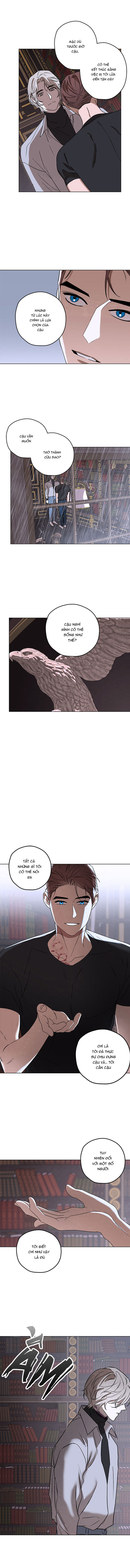 mị hoặc khó cưỡng chapter 6 9