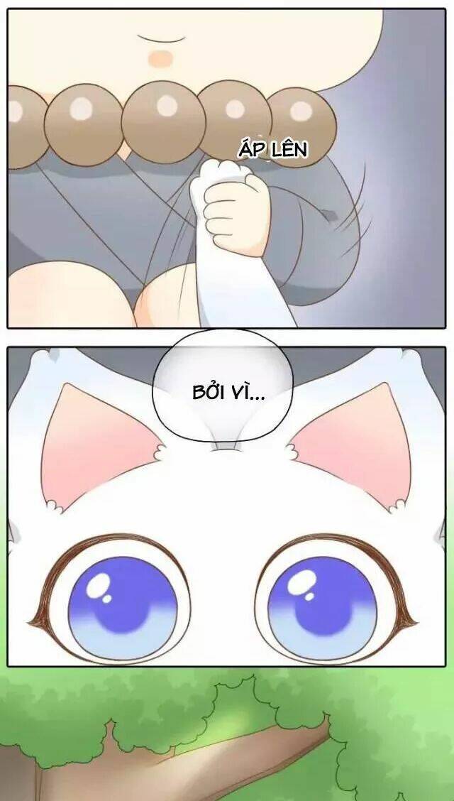 tiểu hồ ly vs tiểu hóa thượng chapter 47 21