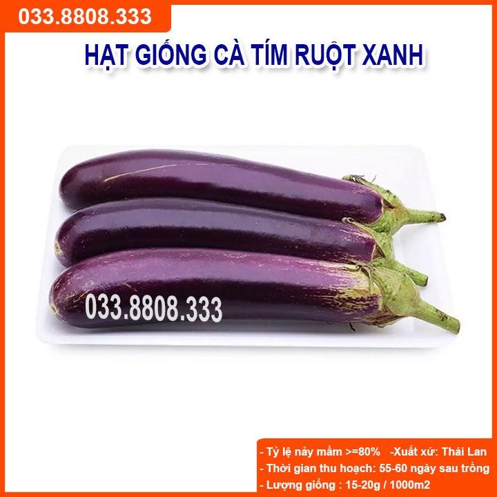 Hạt Giống Cà Tím Ruột Xanh Dài - Quả Dài Đặc Ruột