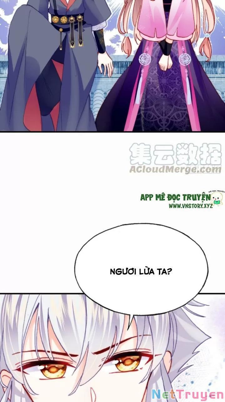 lại bị bệnh chiều chuộng quấn lấy chapter 35 21