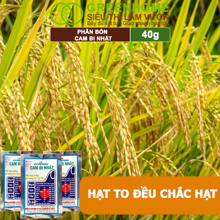 Phân Bón Lá Trung Vi Lượng CamBi Nhật, GreenHome,Gói 40Gr, Siêu Tăng Trưởng Cho Cây Trồng