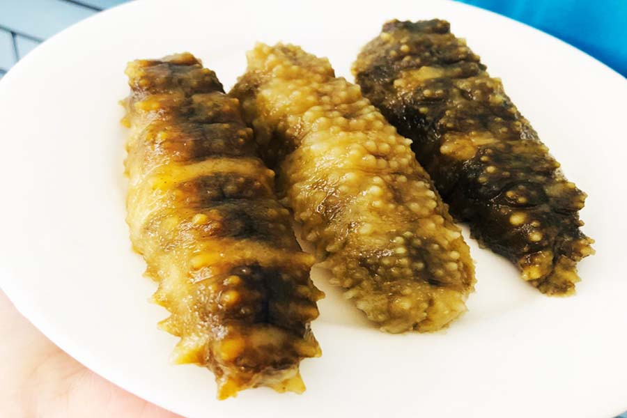 Hải Sâm Gai Vàng