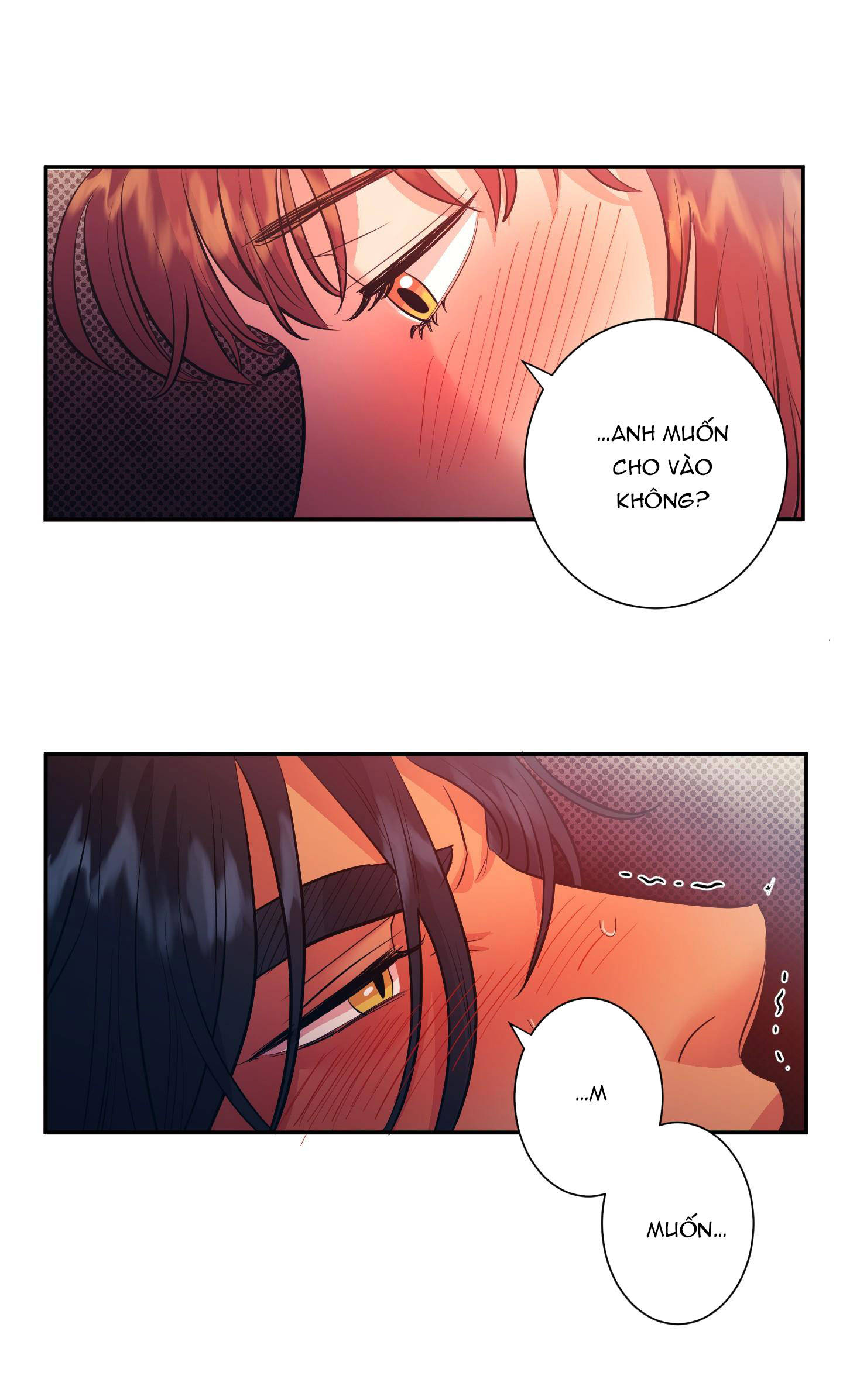 [18+] một lòng một dạ chapter 11 51