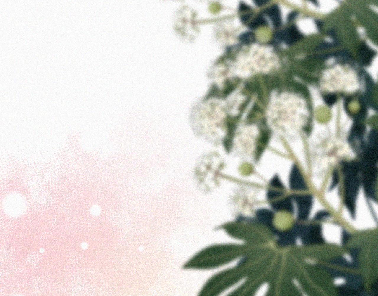 bệnh yêu chapter 78.2 3