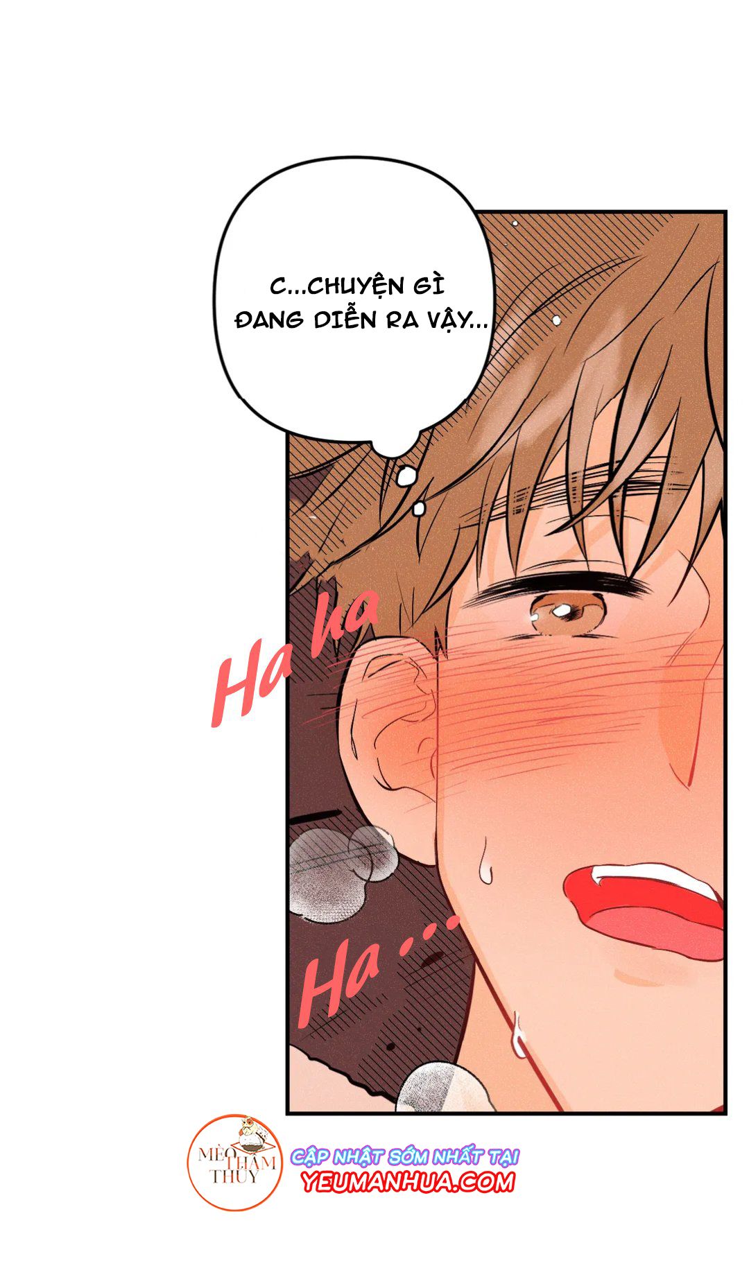 punk dunk funk chapter 11 2