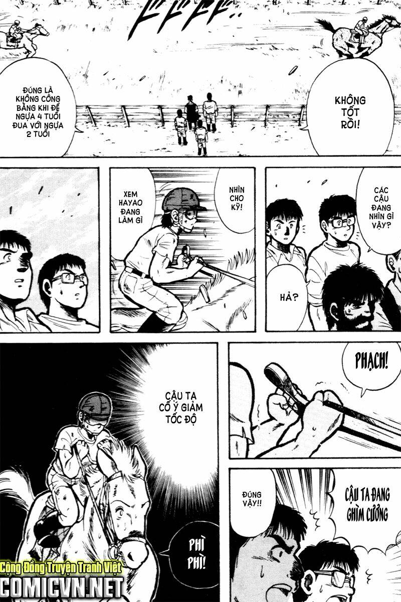 kaze no sylphid - phong mã silphid chapter 10 13