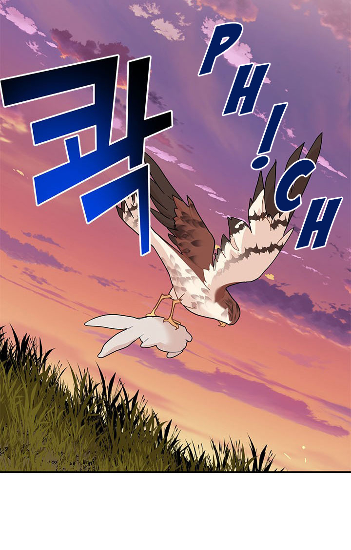 công chúa của loài chim chapter 16 20