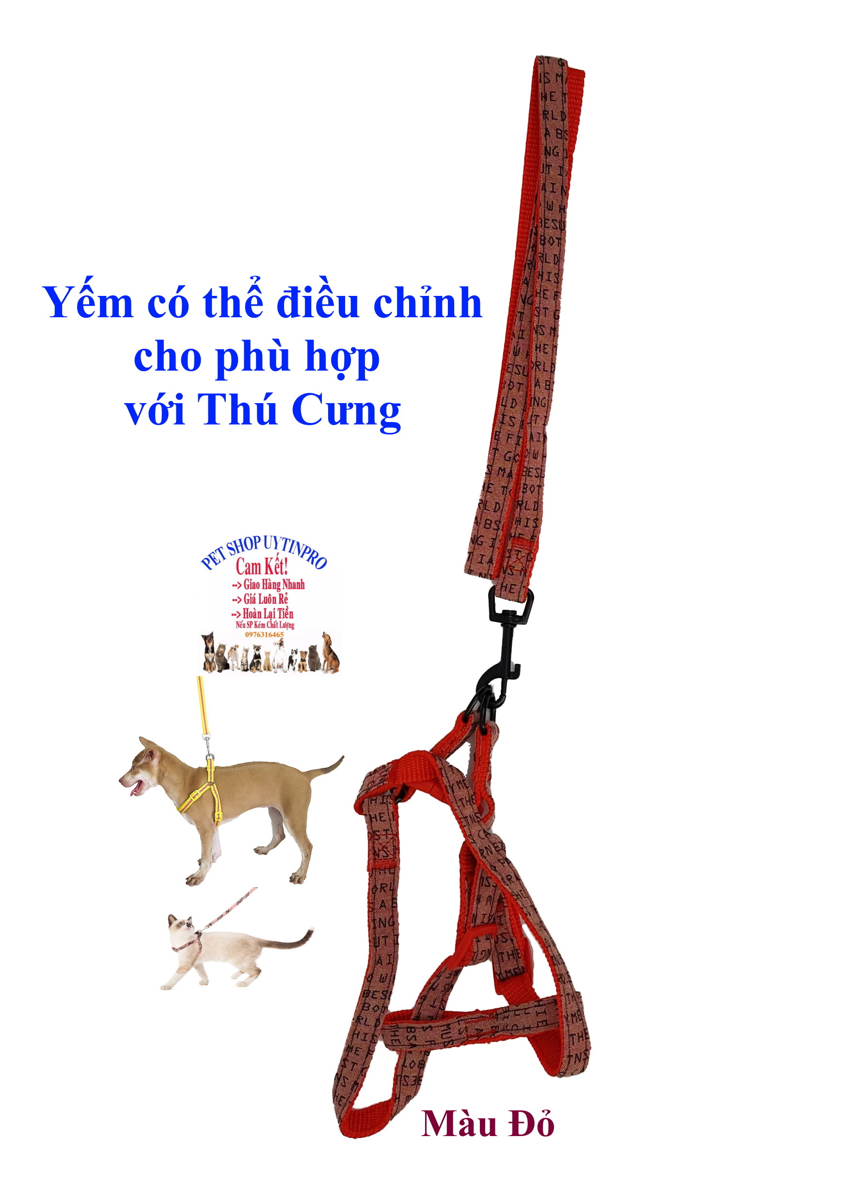 Dây dắt kèm yếm cho Chó Mèo Từ 5kg đến 10kg Bản rộng 1.5cm In CHỮ CÁI Chất liệu dù Bền, Chắc chắn, Yếm có thể điều chỉnh