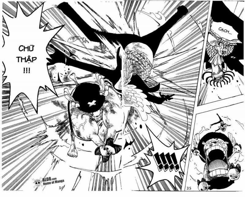 đảo hải tặc - one piece chapter 262 21