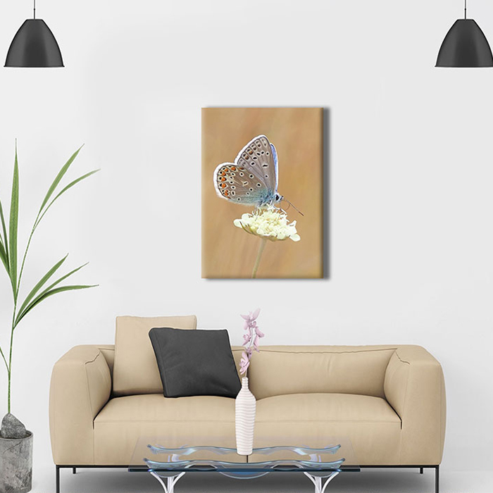 Tranh Canvas "Bướm Và Hoa" - W141