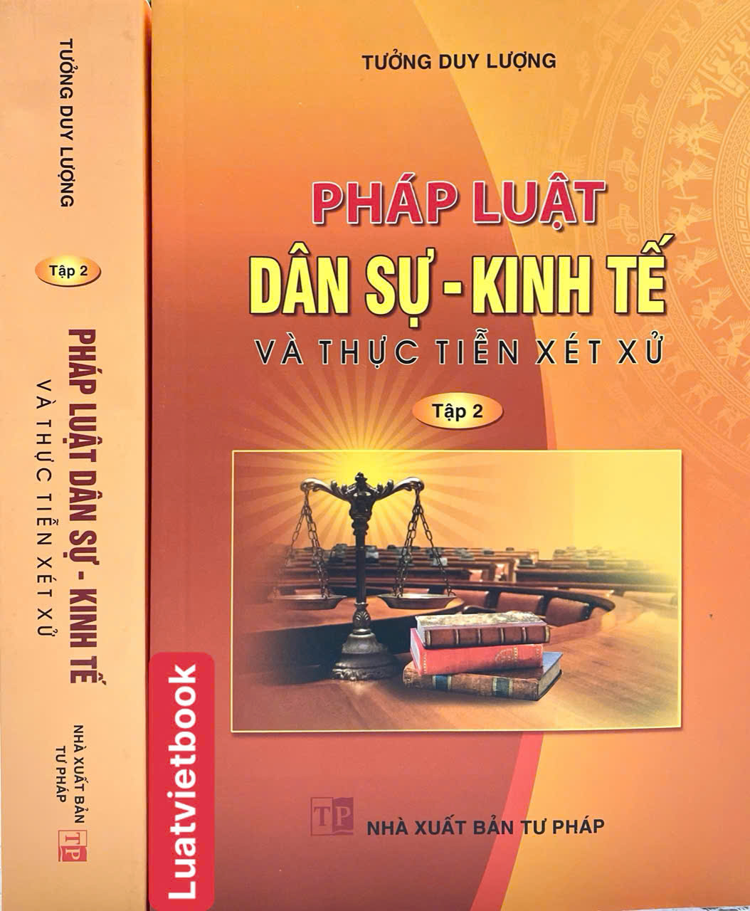 Sách Pháp Luật Dân Sự - Kinh Tế Và Thực Tiễn Xét Xử ( Tập 2)