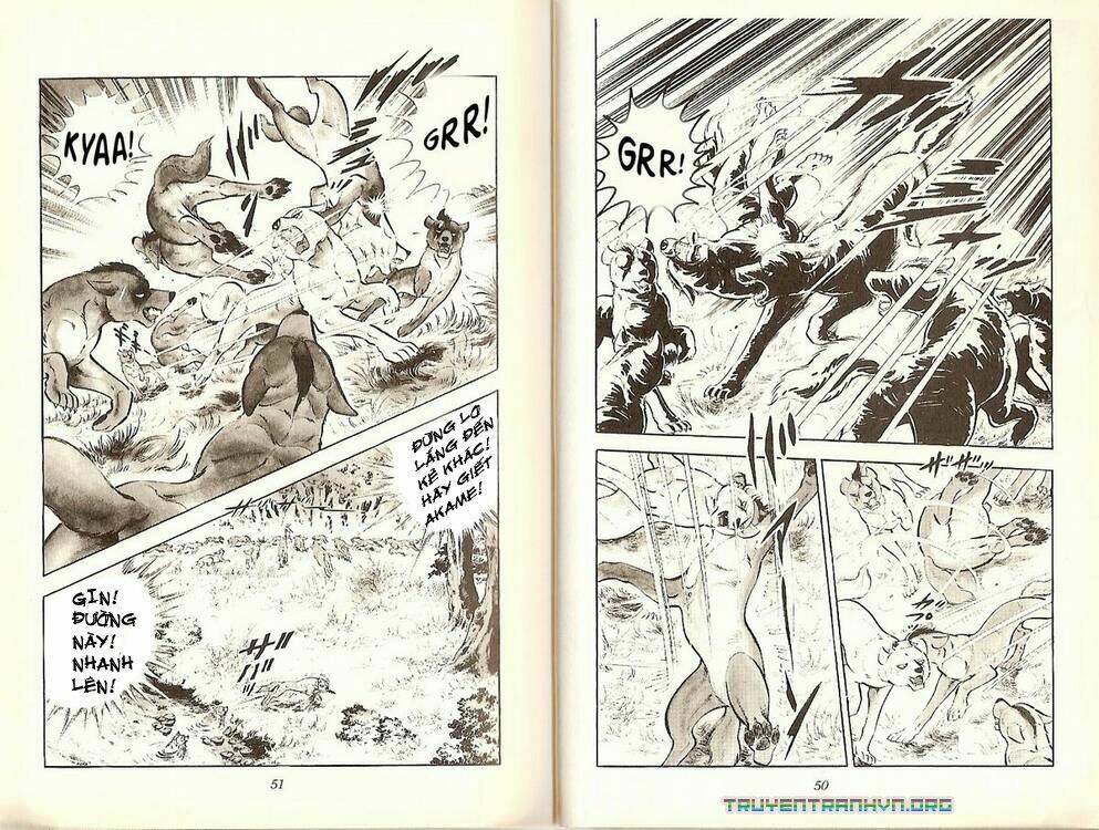 chú chó có nghĩa - ginga nagareboshi gin chapter 19 24