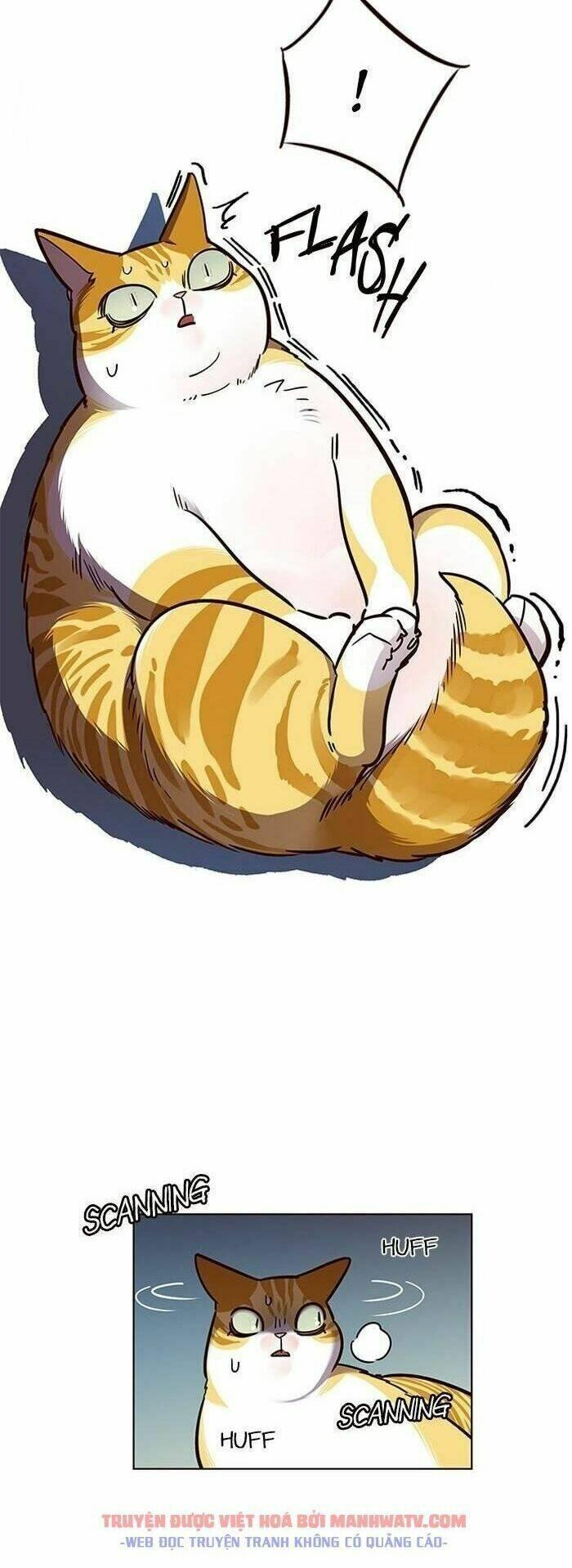 biến thân thành mèo chapter 56 11