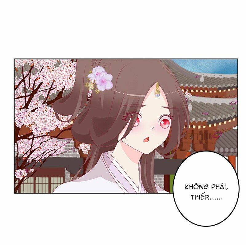 tướng quân mời ra trận chapter 66 14