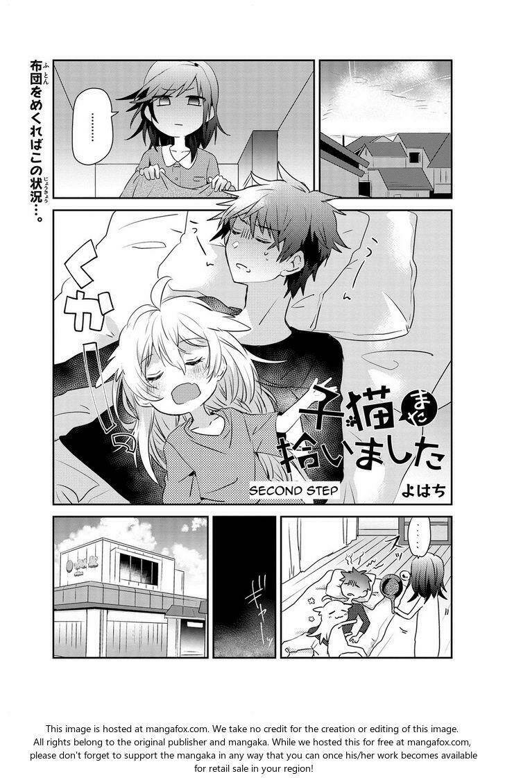 i found another kitten chapter 2 1