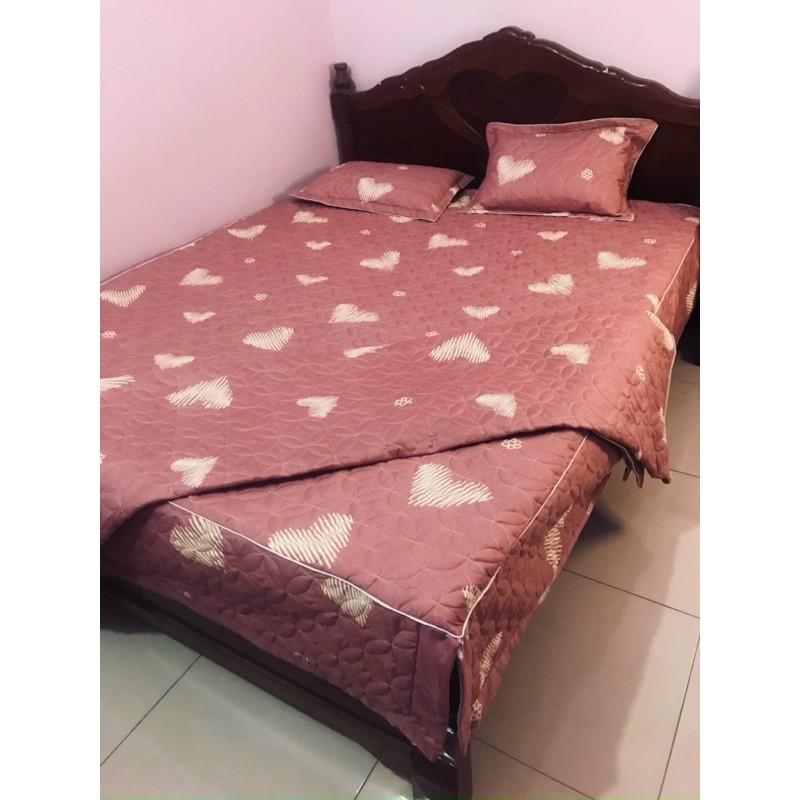 Bộ cotton poly trần bông ga phủ mẫu 2