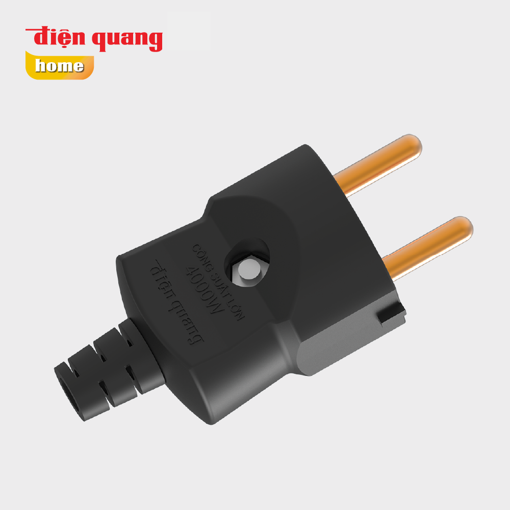 Phích cắm công suất lớn Điện Quang ECO ĐQ EPR HP R.2PN ECO