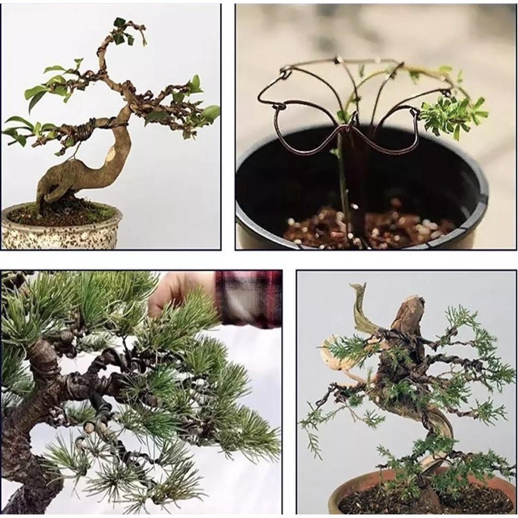 1kg Dây Nhôm Uốn Cây Cảnh, Cây Bonsai, Chất Lượng Cao, Dùng tạo thế, tạo dáng cây cảnh, cây mai, cây si, tùng la hán