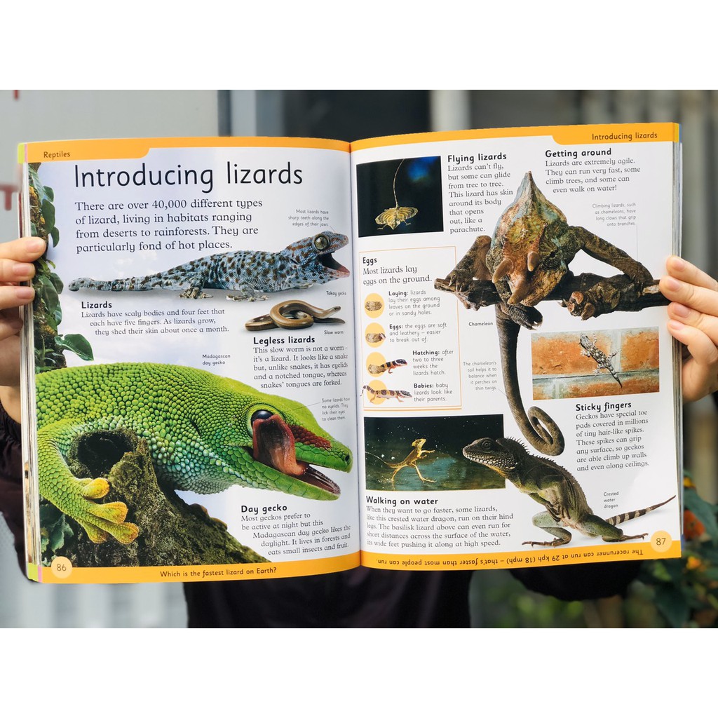 Sách Bách khoa toàn thư - First Animal Encyclopedia - Tổng Hợp Kiến Thức Về Thế Giới Động Vật, Những Điều Mà Trẻ Em Luôn Muốn Biết - Á Châu Books, Bìa Cứng, In Màu