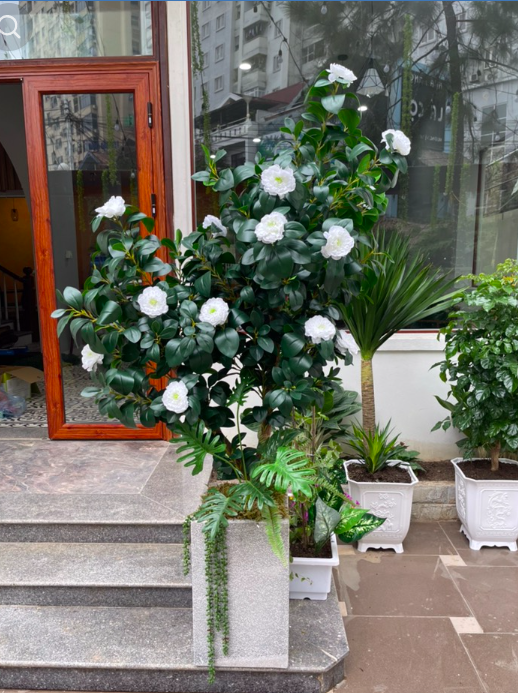 Cây hoa trà mi giả - Size 100cm đến 160cm - Cây giả, hoa lụa Decor trang trí nhà cửa