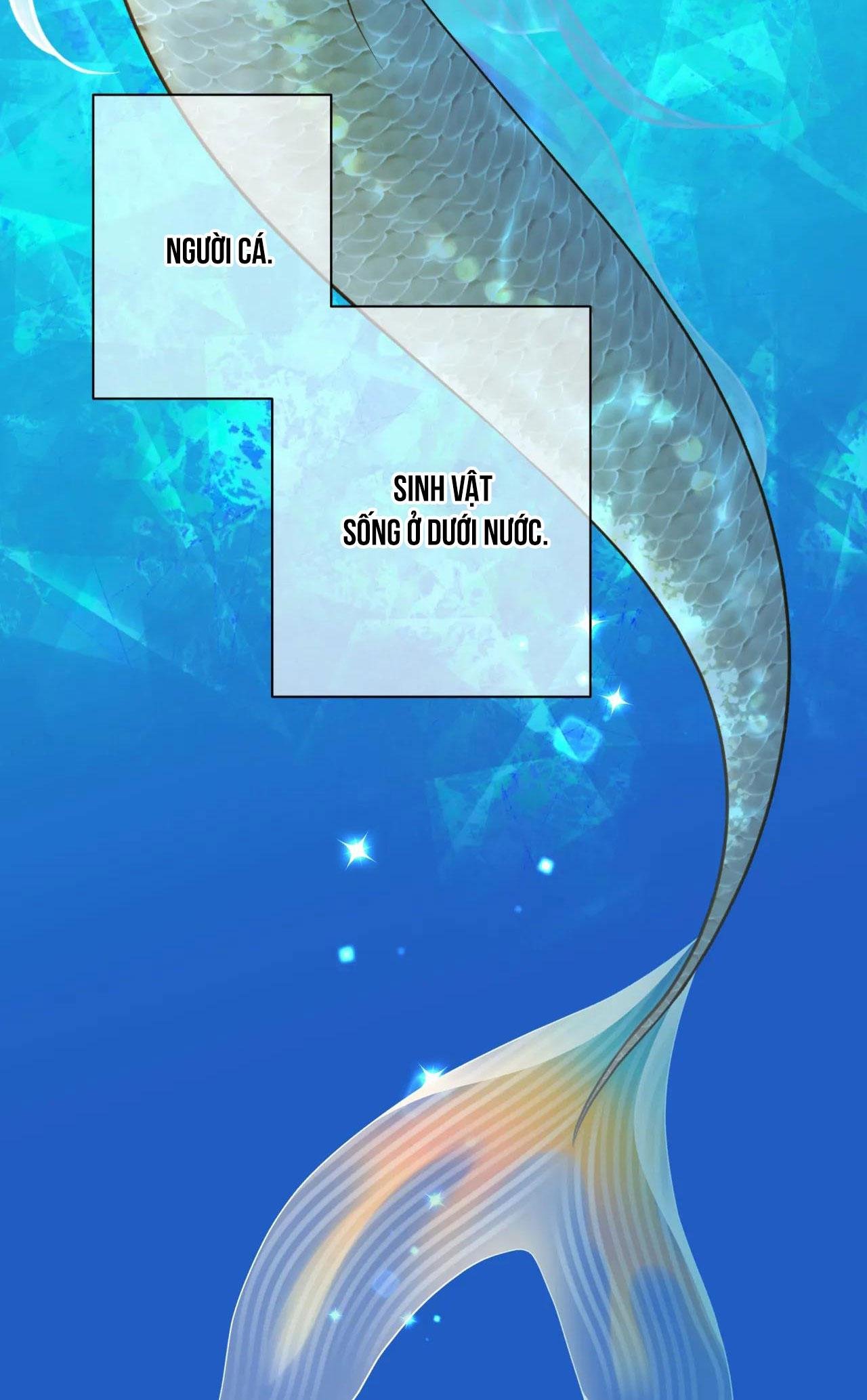 mỹ nhân ngư chapter 2 2